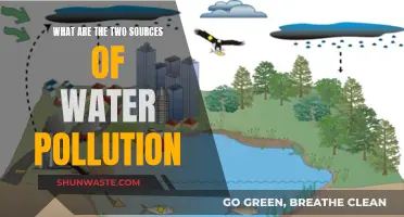 Unveiling the Hidden Sources: Two Major Causes of Water Pollution