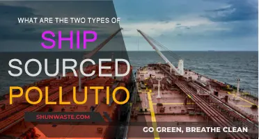 Understanding Ship-Sourced Pollution: Two Main Types