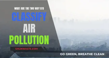 Air Pollution: Two Key Classification Methods