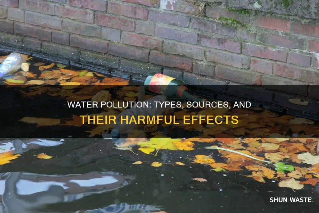 what are the types and sources of water pollution