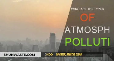 Atmospheric Pollution: Understanding Different Types of Air Pollutants