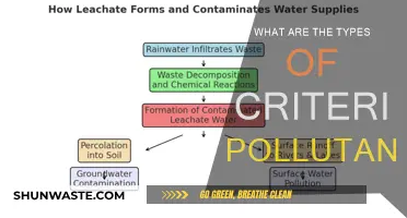 Understanding Criteria Pollutants: Their Types and Impact