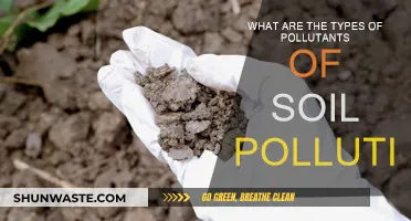 Soil Pollutants: Understanding the Different Types of Contaminants