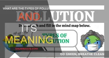 Understanding Pollution: Types and Their Impact