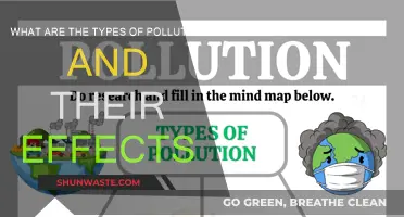 Pollution Types: Understanding Their Unique and Devastating Impacts
