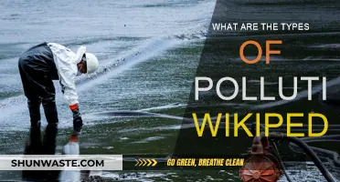 Understanding Pollution: Its Varied Forms and Impacts
