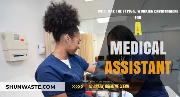 Exploring the Daily Work Environment of a Medical Assistant