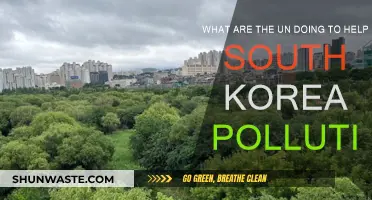 UN's Action Plan to Combat South Korea's Pollution