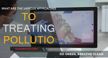 Strategies to Combat Pollution: A Comprehensive Overview