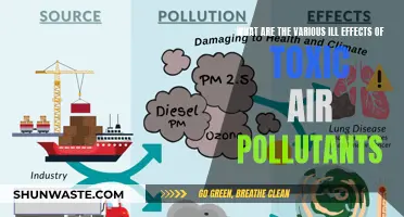 Air Pollution: Understanding Toxic Air's Devastating Impact