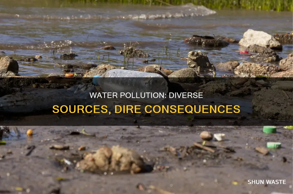 what are the various sourced of water pollution