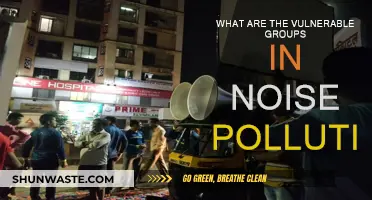 Noise Pollution: Who Suffers the Most?