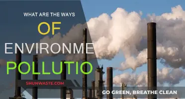 Human Activities Causing Environmental Pollution