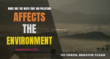 Air Pollution's Impact: Devastating Effects on Our Environment