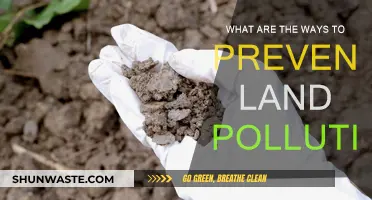 Preventing Land Pollution: Simple Ways to Make a Difference
