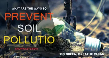 Preventing Soil Pollution: Simple Strategies for a Healthy Planet