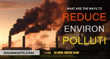 Green Strategies: Reducing Environmental Pollution