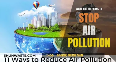 Strategies to Combat Air Pollution and Breathe Easy