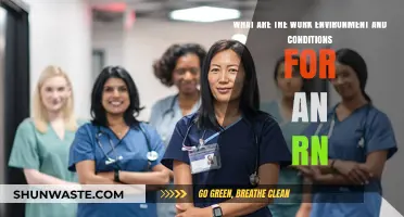 Exploring RN Work Environment: Conditions, Challenges, and Rewards for Nurses