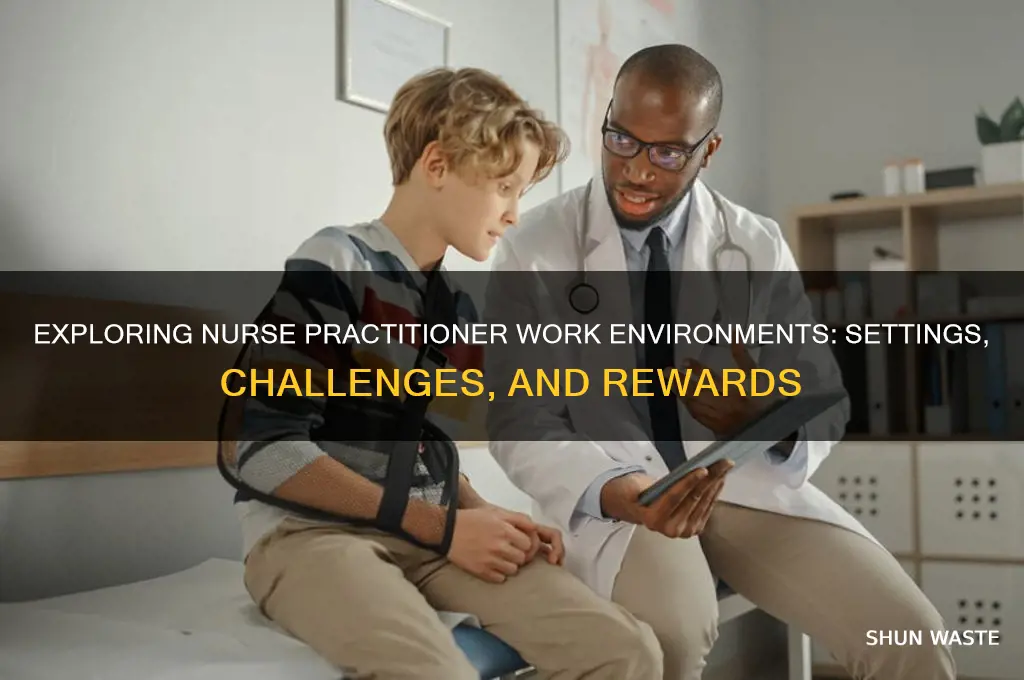 what are the work environment for a np