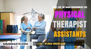 Exploring Physical Therapist Assistant Work Environments: Settings, Roles, and Daily Life