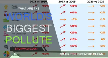 Who Pollutes the Most? The World's Worst Offenders