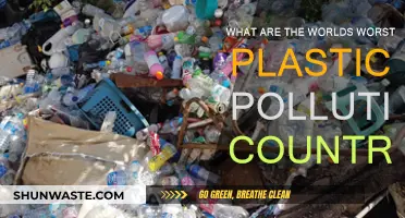 Plastic Polluters: The World's Worst Offenders
