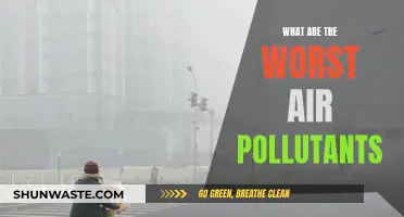 Air Pollutants: The Most Dangerous Toxins in Our Air