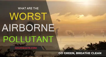 Airborne Pollutants: The Most Dangerous Toxins We Breathe