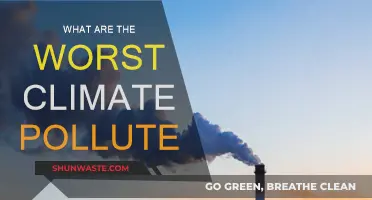 Climate Crisis: Who Pollutes the Most?