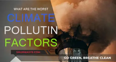 Climate Killers: The Worst Polluting Factors