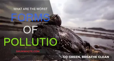 Deadly Pollutants: Understanding the Worst Forms of Pollution