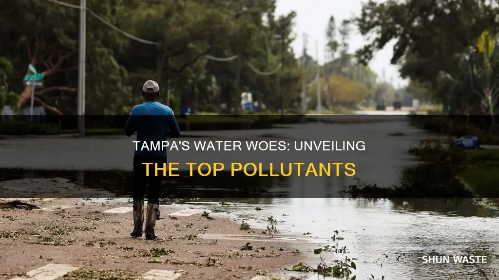 what are the worst pollutants in tampa water