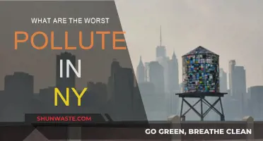 Who's Polluting New York?