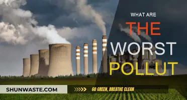The Most Polluting Industries and Their Impact