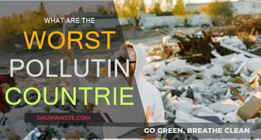 Who Pollutes the Most?