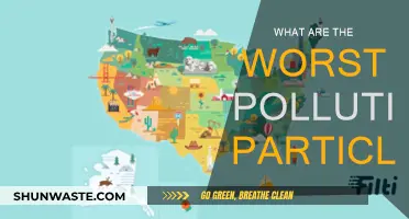 Deadly Polluting Particles: Understanding Their Toxic Impact
