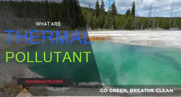 Thermal Pollution: Understanding Heat as a Pollutant