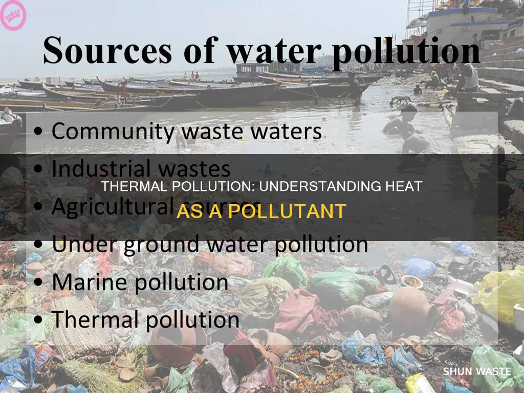 what are thermal pollutants