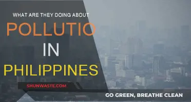 Philippine Pollution: Strategies and Solutions