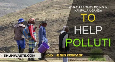 Kampala's Pollution-Fighting Strategies