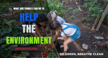 Sustainable Living: Simple Eco-Friendly Actions to Protect Our Planet