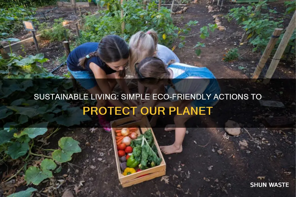 what are things i can do to help the environment