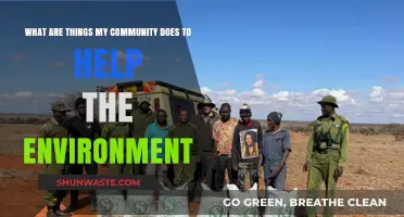 Sustainable Steps: How Our Community Protects and Preserves the Environment