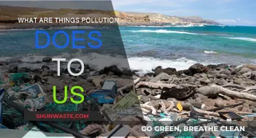 Pollution's Harmful Effects on Our Health and Environment