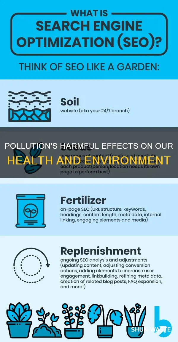 what are things pollution does to us