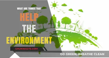 Sustainable Living: Simple Eco-Friendly Practices to Protect Our Planet
