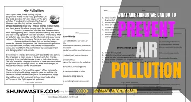 Simple Ways to Reduce Air Pollution
