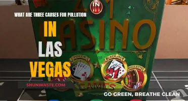 Vegas' Hidden Hazards: Unveiling the Top 3 Pollution Sources