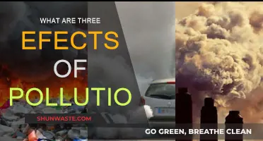 Pollution's Impact: Three Ways It Affects Our World